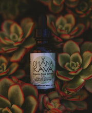 Load image into Gallery viewer, Organic Kava Extract