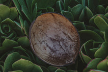 Load image into Gallery viewer, Raw Organic Kava Root Powder