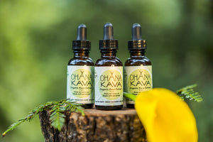 Organic Kava Extract