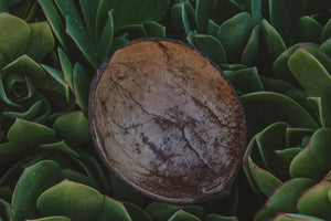 Raw Organic Kava Root Powder